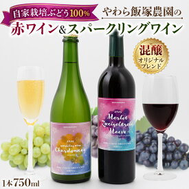 【ふるさと納税】地元農家が作る つくばみらい市産 ぶどう を使った 赤ワイン・スパークリングワイン各1本 計2本セット ワイン お酒 酒 フルーツ 果物 果実酒 ブドウ おつまみ 贈り物 お取り寄せ プレゼント 記念日