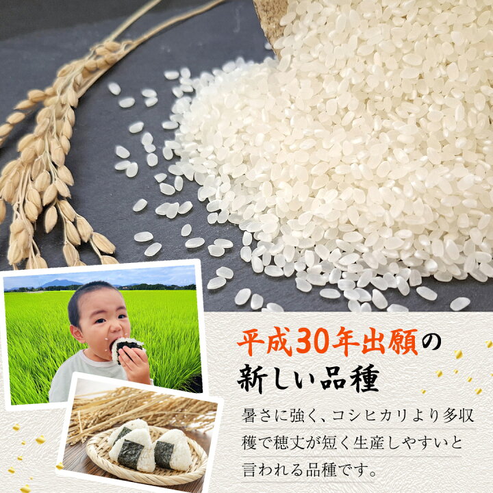 楽天市場】【ふるさと納税】＼ 選べる精米方法・内容量 ／ ＜ 新米 