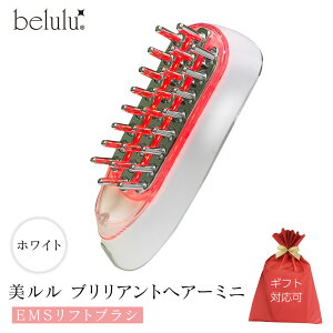 yӂ邳Ɣ[Łzr[Ly[{!! _IׂJ[EbsOΉ^ uAgwA[~jiEMStguVjzCg sN ubN XJvPA}V EMS 