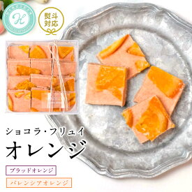 【ふるさと納税】 ショコラフリュイ　オレンジ チョコレート チョコ スイーツ デザート 高級 ギフト 贈り物 お礼 プレゼント 手土産 お菓子