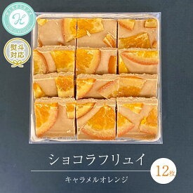 【ふるさと納税】ショコラフリュイ キャラメルオレンジ 12枚 チョコレート チョコ スイーツ デザート 高級 ギフト 贈り物 お礼 プレゼント 手土産 お菓子