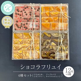 【ふるさと納税】ショコラ フリュイ 4種セット（ とちおとめ 、 アップルパイ 、 レモンティー 、 キャラメル オレンジ ） チョコレート チョコ スイーツ デザート 高級 ギフト 贈り物 お礼 プレゼント 手土産 お菓子