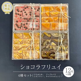 【ふるさと納税】ショコラ フリュイ 4種セット（ とちおとめ 、 アップルパイ 、 レモンティー 、 キャラメル オレンジ ） チョコレート チョコ スイーツ デザート 高級 ギフト 贈り物 お礼 プレゼント 手土産 お菓子