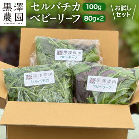 【ふるさと納税】セルバチカ (ワイルドルッコラ) 100g と ベビーリーフ (80g × 2パック) の 黒澤農園 お試しセット ベビーリーフサラダ 生野菜 食べやすい 若葉 ファミリー 旬 新鮮 国産 彩り サラダ さらだ ルッコラ ハーブ 新鮮 国産 辛い セルバチコ ベビーリーフ