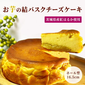 yӂ邳Ɣ[Łzy錧Yg͂邩gpžoXN`[YP[Li16.5cmj