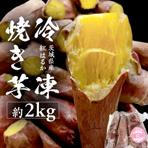 yӂ邳Ɣ[ŁzⓀĂ 2kg y 錧Y g͂邩 z Ⓚ Ă ܂ fU[g  XC[c