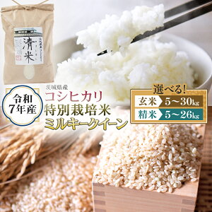 yӂ邳Ɣ[Łz_ Iׂe ^ ߘa7NY 錧Y RVqJ or ~L[NC[ i 5kgE10kgE26kg /  5kgE10kgE30kg / ʍ͔| 5kg E10kg j V   LV}C 