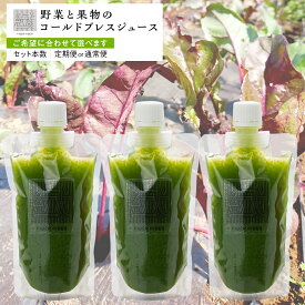 【ふるさと納税】 ＼選べるお届け回数と内容量／ 野菜と果物の コールドプレスジュース GARDEN GREEN 200ml 3本 or 6本 360ml 3本 セット 酵素ドリンク ライフスタイル 健康 美容 野菜 果物 新鮮 特別栽培 SDGs ジュース 冷凍