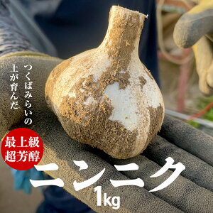 yӂ邳Ɣ[Łz_Iׂeʁ^ F ΂݂炢̓y ŏ㋉jjN 500gE1kg ΂݂炢s jjN VjjN 錧Y Y w엿 _sgp w엿sgp