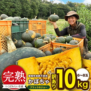 yӂ邳Ɣ[Łz _ Iׂeʁ^ y A znڂ ubÑW[ 5kg / 10kg ڂ ڂ قق ˂Ƃ Â Y 錧Y A   Y