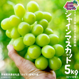 yӂ邳Ɣ[ŁzVC}XJbg 5kg i8`12[jy2025N9蔭Jnzi錧ʕԗi [Ԃǂ]FsYj  }XJbg {  t[c Ȃ 炲 Â fU[