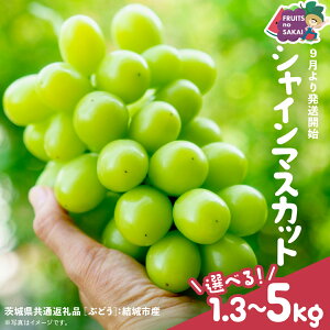 yӂ邳Ɣ[Łz_ Iׂe ^ VC}XJbg 1.3kgi2[j2kgi4[j5kgi8`12[jy2025N9蔭Jnzi錧ʕԗi [Ԃǂ]FsYj  }XJbg { 
