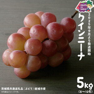 yӂ邳Ɣ[ŁzNCj[i 5kg i8`12[jy2025N9蔭Jnzi錧ʕԗi [Ԃǂ]FsYj  ԂԂǂ {  t[c Â 󏭕i fU[g