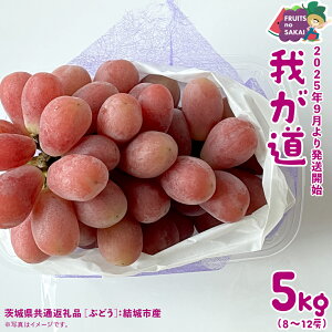 yӂ邳Ɣ[Łz䂪 5kg i8`12[jy2025N9蔭Jnzi錧ʕԗi [Ԃǂ]FsYj  ԂԂǂ {  t[c 󏭕i Vi fU[g