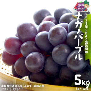 yӂ邳Ɣ[ŁziKmp[v 5kg i8`12[jy2025N9蔭Jnzi錧ʕԗi [Ԃǂ]FsYj  Ԃǂ {  t[c 󏭕i fU[g