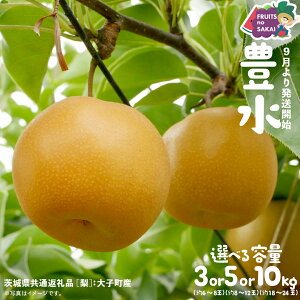 yӂ邳Ɣ[Łz_ Iׂe ^ L  3kg i6`8ʁj/ 5kg i8`12ʁj/ 10kg i18`24ʁjy2025N9蔭Jnzi錧ʕԗi []FqYj Ȃ {  t[c 