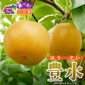 【ふるさと納税】＼ 選べる内容量 ／ 豊水 梨 約3kg / 約5kg / 約10kg【2026年9月より発送開始】（茨城県共通返礼品 [梨]：大子町産） なし 旬 フルーツ 甘い ジューシー 訳あり 高糖度 ギフト 贈り物 プレゼント ナシ 和梨 梨 果実 旬のフルーツ お取り寄せ くだもの 果物