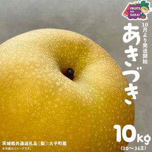 yӂ邳Ɣ[Łz_ Iׂe ^ Â  5kgi10`18ʁj/ 10kg i20`36ʁjy2025N10蔭Jnzi錧ʕԗi []FqYj Ȃ {  t[c Â W[