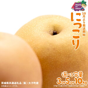 yӂ邳Ɣ[Łz_ Iׂe ^ ɂ  3kg i4`5ʁj/ 5kg i7`10ʁj/ 10kg i16`20ʁjy2025N10蔭Jnzi錧ʕԗi []FqYj Ȃ {  t[