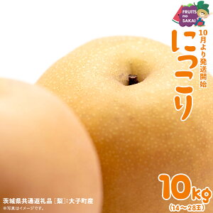 yӂ邳Ɣ[Łz_ Iׂe ^ ɂ  5kg i7`14ʁj/ 10kg i14`28ʁjy2025N10蔭Jnzi錧ʕԗi []FqYj Ȃ {  t[c Â W[