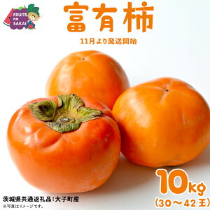 yӂ邳Ɣ[ŁzxL` 10kg i30`42jy2025N11蔭Jnzi錧ʕԗi [`]FqYj  {  t[c Â H̖o