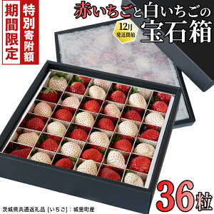 yӂ邳Ɣ[Łz_ 12/31܂ Ԍ ʊ񕍋zI ^ Ԕ̕ΔA\[g 36 y2025N12甭Jnzi錧ʕԗi []F闢Yj |    C`S 