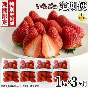 yӂ邳Ɣ[Łz _ 12/31܂ Ԍ ʊ񕍋zI ^ yցz3A͂ i250g×4pbNj×3@y2026N1甭Jnzi錧ʕԗi []F闢Yj| 