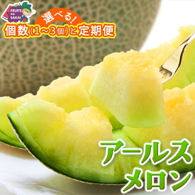 【ふるさと納税】＼ 玉数とお届け回数が選べる ／ アールスメロン 1玉 / 2玉 / 3玉 メロン ギフト 高糖度 甘い 美味しい フルーツ 誕生日 プレゼント ギフト 贈り物 父の日 母の日 1個 / 2個 / 3個