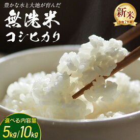 【ふるさと納税】＼ 選べる内容量 ／ 【 無洗米 】令和7年産 新米 コシヒカリ 5kg/10kg 茨城県つくばみらい市産 時短 手軽 粘り 甘み 茨城 こしひかり 令和7年