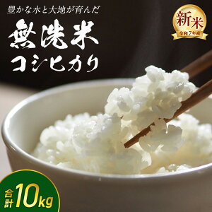 yӂ邳Ɣ[Łz_ Iׂe ^ y  zߘa7NY V RVqJ 5kg/10kg 錧΂݂炢sY Z y S Â  Ђ ߘa7N