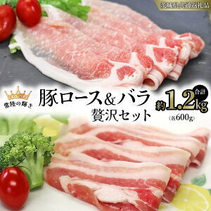 yӂ邳Ɣ[Łzy 헤̋P z  [Xo ґ Zbgiv1.2kgj e600g (錧ʕԗi) Y Y ؓ |[N [X o Ԃ Ă 蕨 Mtg 