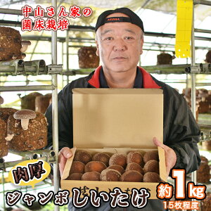 yӂ邳Ɣ[ŁzRƂ̓W{1kgi15xjyۏ͔|z ̂  VC^P ő