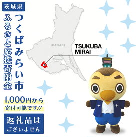 【ふるさと納税】＜ 返礼品なし＞ 1口 1,000円～ 茨城県 つくばみらい市 ふるさと応援寄附金 （ 1,000円 3,000円 5,000円 10,000円 50,000円 100,000円)
