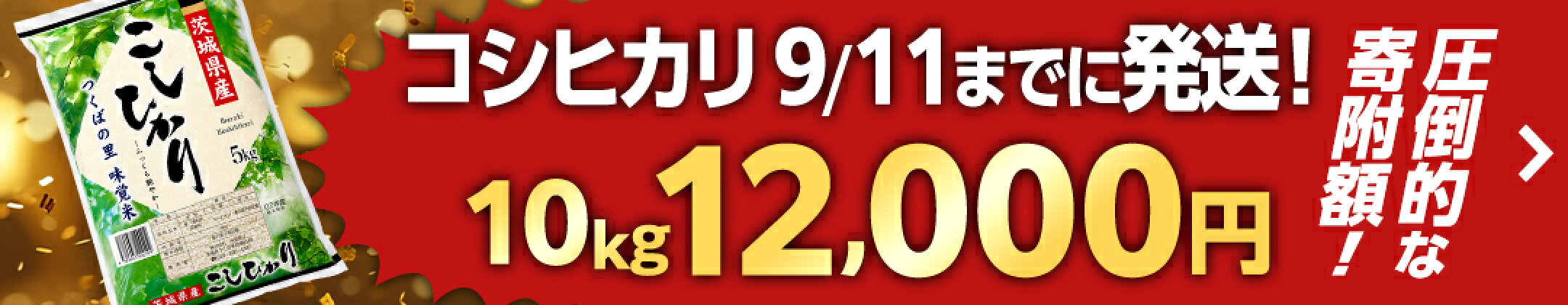 茨城県 つくばみらい市 コシヒカリ 新米 5kg 10kg 15kg