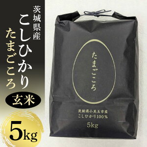 �y�ӂ邳�Ɣ[�Łz�����ʎY�R�V�q�J���u���܂�����v����5kg �R�V�q�J�� �����Ђ��� �� ���� ���� 5kg ���͂� ���� �P�ꌴ���� �z�_�@ �G�R �V�R�� ��A�N���X ���_�� ���e ���N ��錧�Y 8-X