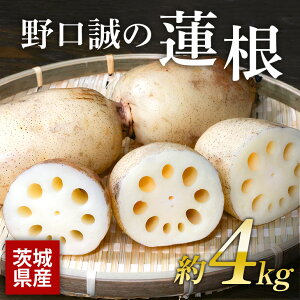 yӂ邳Ɣ[Łz̘@ 4kg 񂱂 R @  Y Ԍ 57-A