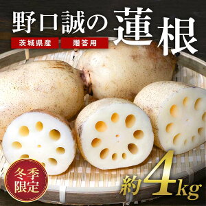 yӂ邳Ɣ[Łzy ~G p z ̘@ 4kg 񂱂 R @  Y Ԍ 57-B