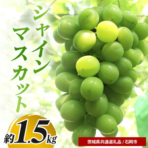 yӂ邳Ɣ[ŁzyʌEs\z VC}XJbg 1.5kg s91`1010\t Ԃǂ uhE  ʕ  t[c (錧ʕԗi Ήs) 67-F