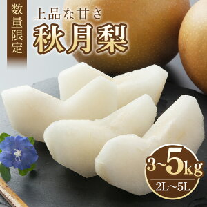 yӂ邳Ɣ[Łz ʌ 2025N s\  H Iׂe 3kg`5kg (3kg 2L`5L 6`9 / 5kg 2L`5L 9`16) Ȃ iV Â ALdL ʕ t[c Y y910`10\z 70-S