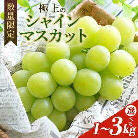 【ふるさと納税】＜2026年 先行予約＞シャインマスカット 数量限定 選べる内容量 1kg/2kg /3kg 農園直送 期間限定 マスカット 果物 フルーツ ブドウ 葡萄 ぶどう 9月1日以降発送 冷蔵 小美玉市 茨城県