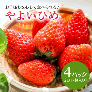 yӂ邳Ɣ[ŁzyʌEs\z悢Ђ 2Li17j×4pbN 1kgȏ  C`S  t[c ʕ  Y 錧Y x Â 2026N1`3\聄 i錧