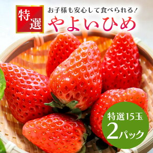 yӂ邳Ɣ[ŁzyʌEs\z悢Ђ I15 2pbN  C`S  t[c ʕ  Y 錧Y x Â 2026N1`3\聄 i錧ʕԗi 