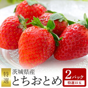 �y�ӂ邳�Ɣ[�Łz�y���ʌ���E��s�\��z�Ƃ����Ƃ� ���I15�� 2�p�b�N ������ �C�`�S � �t���[�c �ʕ� �������� ���Y ��錧�Y �����x �Â� ��2026�N1�����{�`3����{�����\�聄 �i��錧��