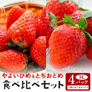 yӂ邳Ɣ[ŁzyʌEs\z悢Ђ߁EƂƂߐHה׃Zbg 3Li13j×e2pbN 1kgȏ  C`S  t[c ʕ  Y 錧Y x Â 20