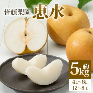yӂ邳Ɣ[ŁzyʌEs\zbi5kg/4L`6L/12`8ʁj   ʕ Ȃ iV   t[c F y9{ȍ~\z 75-C