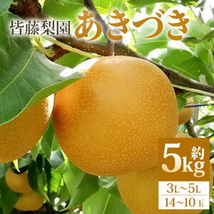 yӂ邳Ɣ[ŁzyʌEs\zÂi5kg/3L`5L/14`10ʁj  Â ʕ Ȃ iV H  t[c F y8{ȍ~\z 75-D