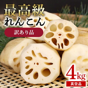 yӂ邳Ɣ[Łz󂠂iyōBig񂱂z^i 4kg Ԍ 񂱂 ^ pbN ۑ R @ 󂠂  j 蕨 Y 77-D
