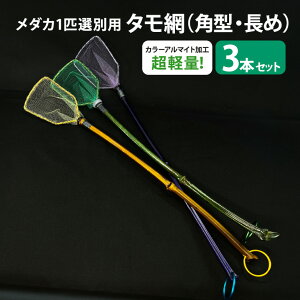 yӂ邳Ɣ[Łz_J1CIʗp ^ԁip^E߁j 3{Zbg 83-I