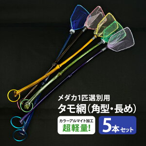 yӂ邳Ɣ[Łz_J1CIʗp ^ԁip^E߁j 5{Zbg 83-J