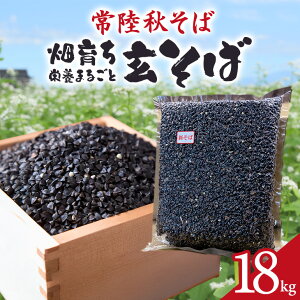 yӂ邳Ɣ[Łz헤H 炿 h{܂邲  18kg   \o uh N e Oet[ X[p[t[h Mtg 錧Y Y 84-B